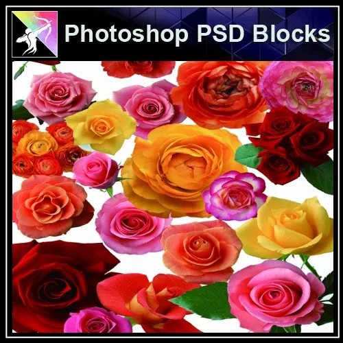 ★Photoshop PSD Decorative Elements-Lose Flower V.2